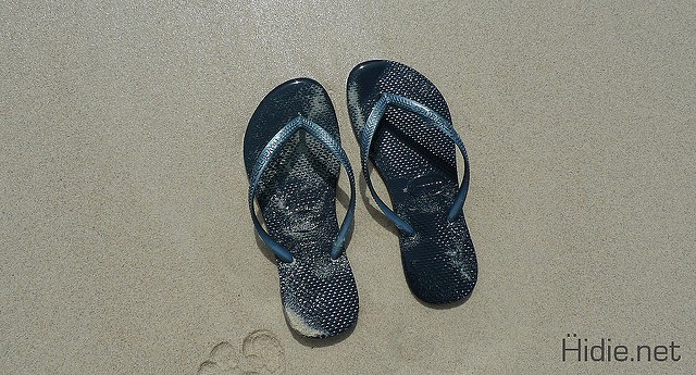 havaianas