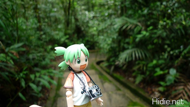 yotsuba2c