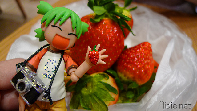 yotsuba3c